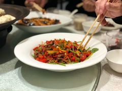-食家鸽园