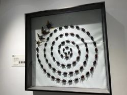 -酷嗒动物文化乐园(cutezoo西溪乐天城店)