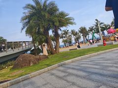 -大梅沙海滨公园