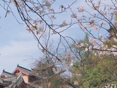 -老广烧烤(骆驼山康馨园店)