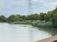 -九里河湿地公园