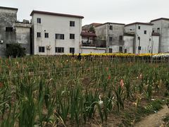 -欢姐伦教糕(北海大道北店)