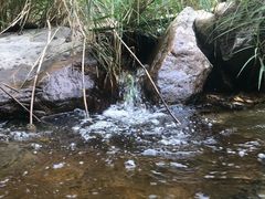 -黑龙潭风景区