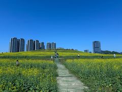 -光明小镇欢乐田园