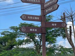 -马峦山郊野公园