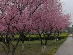 -白塘生态植物园