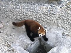 -鄂尔多斯野生动物园