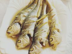 清蒸梅鱼-渔中舟海鲜大排档(普陀沈家门店)