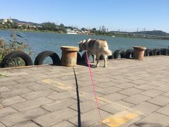 -永定河休闲森林公园