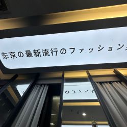 点击看大图 -藤野造型