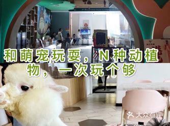和萌宠玩耍，N种动植物，一次玩个够