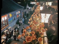 -Sirena海妖日咖夜酒