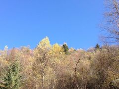 -叠溪松坪沟景区