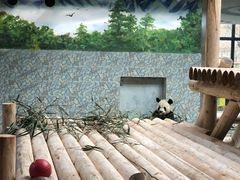 -西安秦岭野生动物园