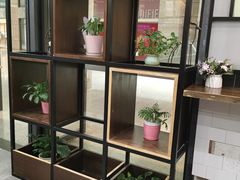 -桂桂茶(万嘉广场店)