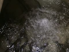 -新农都水产市场