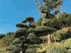-径山寺