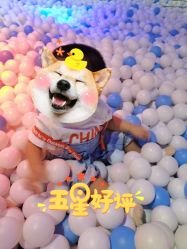 -幻贝家儿童乐园(哈尔滨王府井店)