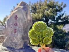 -香山公园