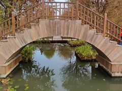 -五缘湾湿地公园
