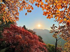 -秦岭终南山世界地质公园翠华山景区