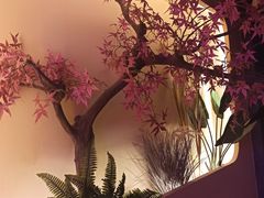 -路边摊小炉子烧烤