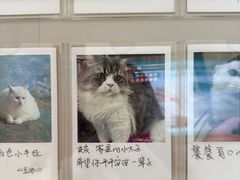 -御宝贝24h宠物医院·转诊中心·CT核磁血透中心(厦门总院)