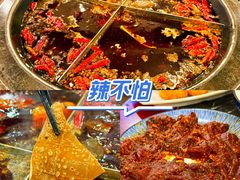 -陈眼镜火锅(总店)