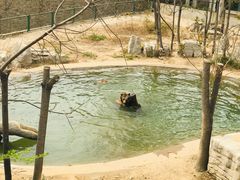 -石家庄市动物园