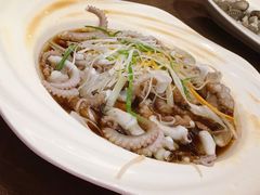 八爪鱼-同君福大酒楼(紫新路店)