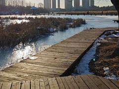 -前关湿地公园