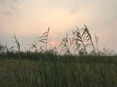 -皇粮浜公园