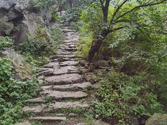 -阳台山自然风景区