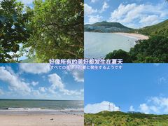 -东澳岛