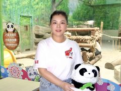 -灵玲国际马戏城