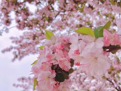 -海棠花溪(元大都城垣遗址公园)
