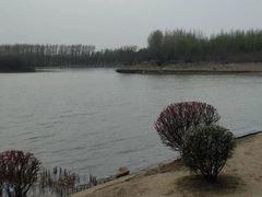 -丁香湖公园
