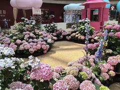 -上海长风大悦城