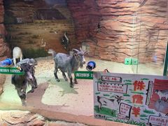-正佳雨林生态植物园