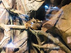 -波塞冬旅游度假区