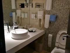 -国家会议中心大酒店