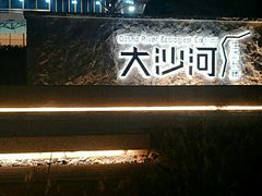 -大沙河公园