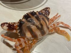 -悦鼎汇海鲜姿造