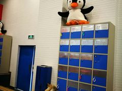 -冠军冰场(环球中心店)