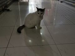 -新记餐厅(香槟大厦店)