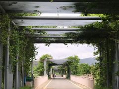 -光明小镇欢乐田园