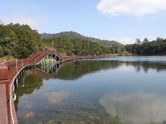 -海南热带雨林国家公园吊罗山景区