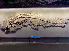 -贝林大翅鲸简餐厅(国家海洋博物馆店)