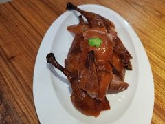 -圆苑(金茂店)