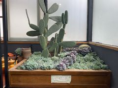 -陀岗美食·云南藏式特色餐厅